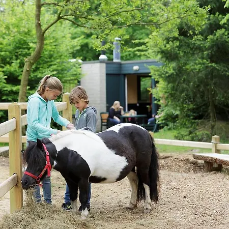 ホリデーパーク Center Parcs Les Bois Francs