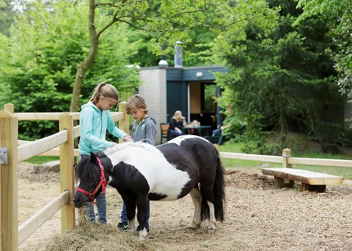 Tatil parkı Center Parcs Les Bois Francs