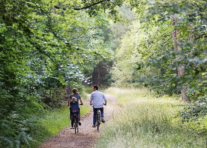 Center Parcs Les Bois Francs 3*